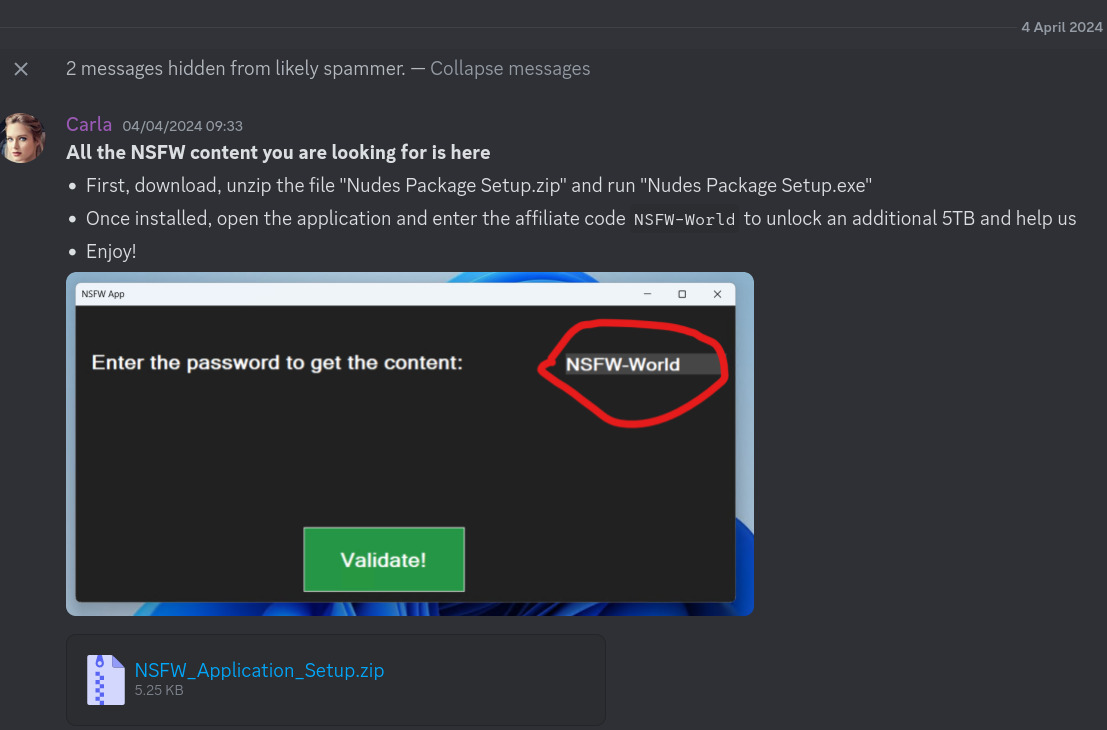 Screenshot of Discord message, which a zip file and a screenshot showing a simple form attached. The content reads: All the NSFW content you are looking for is here – First, download, unzip the file 'Nudes Package Setup.zip' and run 'Nudes Package Setup.exe' – Once installed, open the application and enter the affiliate code NSFW-World to unlock an additional 5TB and help us – Enjoy!