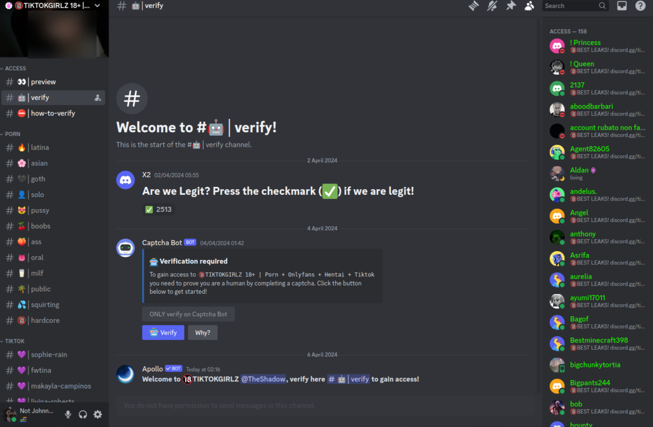 Screenshot of a Discord server named 'TIKTOKGIRLZ' that looks very similar to the one above. It also has a 'verify' and a 'how-to-verify' channel, and it also has two channel categories like the ones in the other server, one with porn category names, the other with TikTok start names. The open channel is again 'verify' and it shows an identical bot message asking you to complete a captcha. The member list on the side shows 158 online members with the role 'access', most of them advertising the server in their status message.